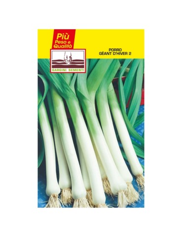 Giant leek seed sachets in winter