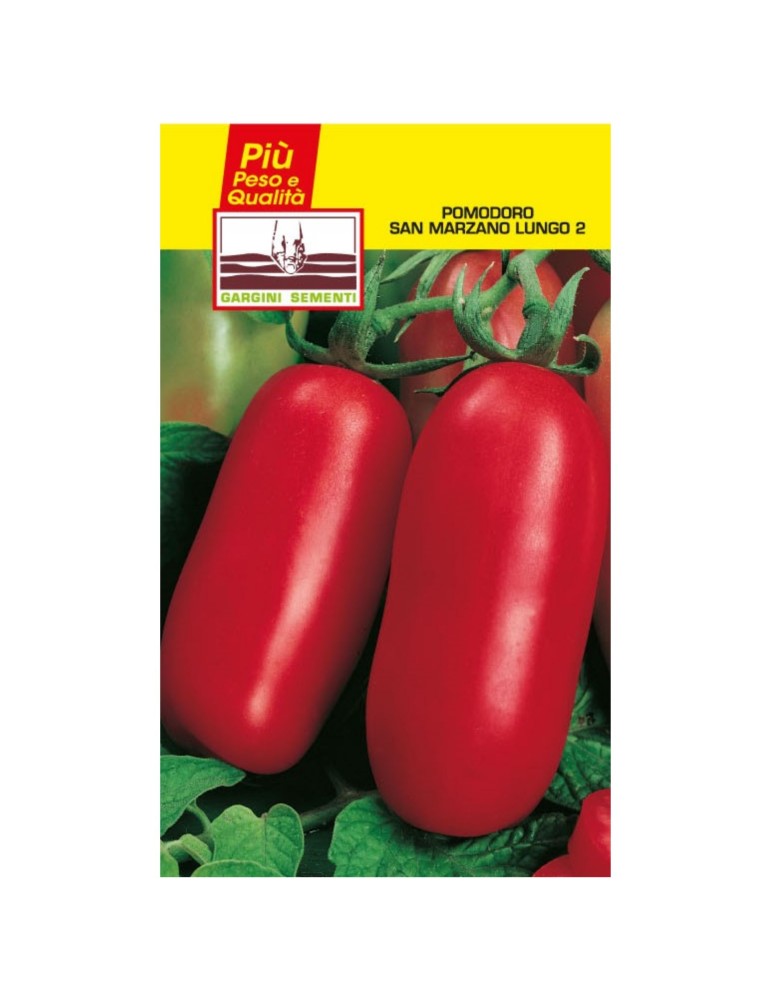 Extra lange San-Marzano-Tomatensamenbeutel