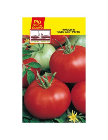 Bustine sementi pomodoro tondo saint pierre