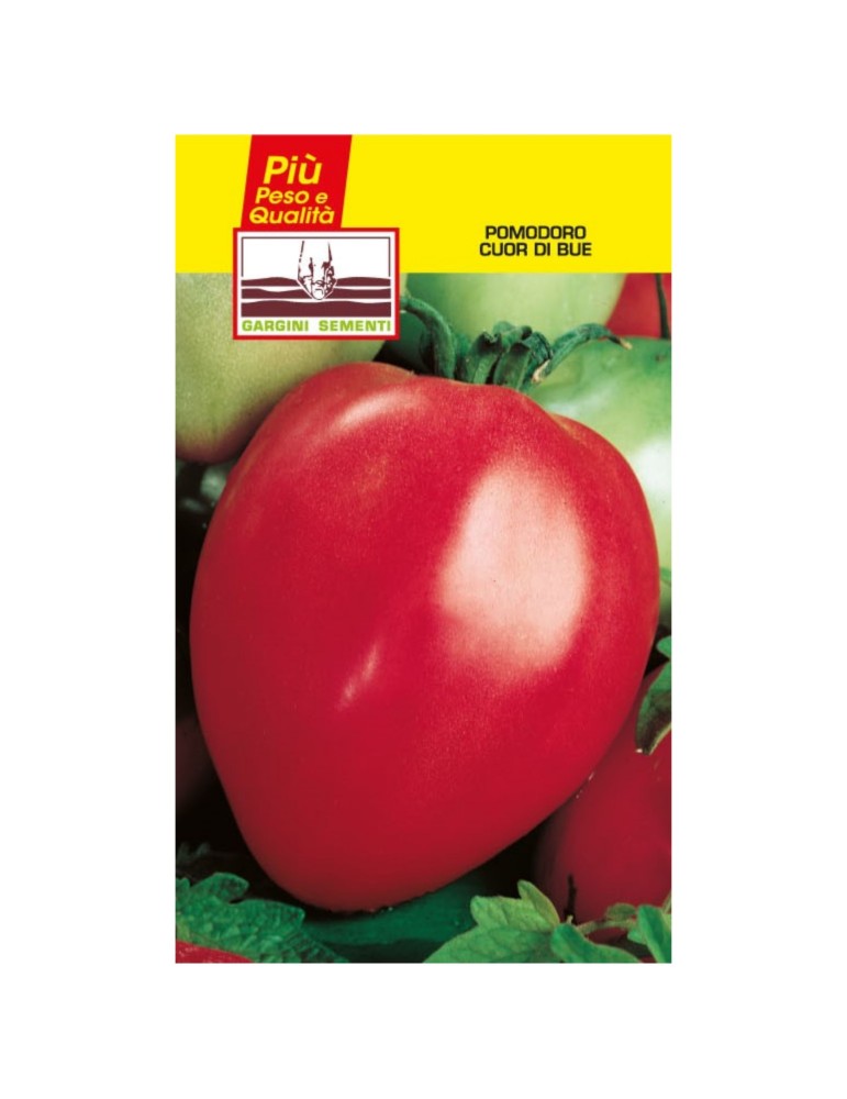 Sobres de semillas de tomate corazón de buey