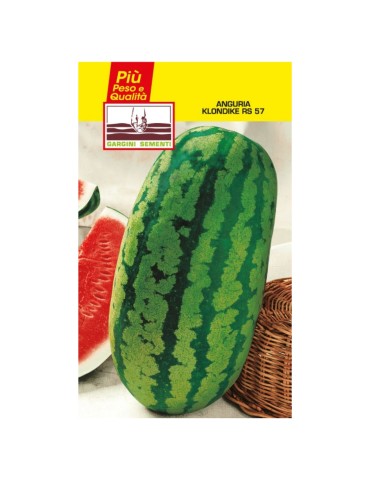 Watermelon seed sachet klondike RS 57