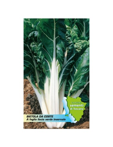 Sachet de graines avec côte large hivernale