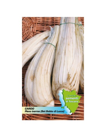 Seed sachet hunchback of Lucca