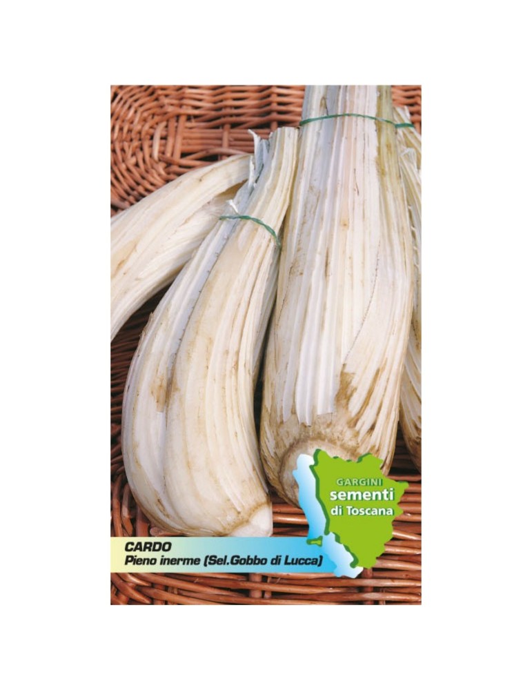 Seed sachet hunchback of Lucca