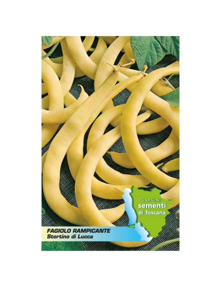 Beutel mit 100 g Kletterbohnensamen aus Lucca Crooked