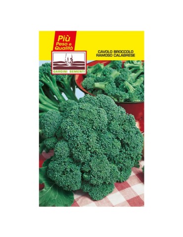 Sachet de graines de chou brocoli