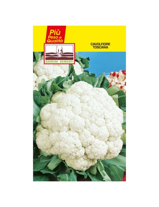Tuscan cauliflower seed sachet natalino