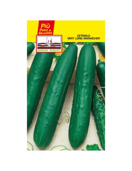 Saquito largo de semillas de pepino verde