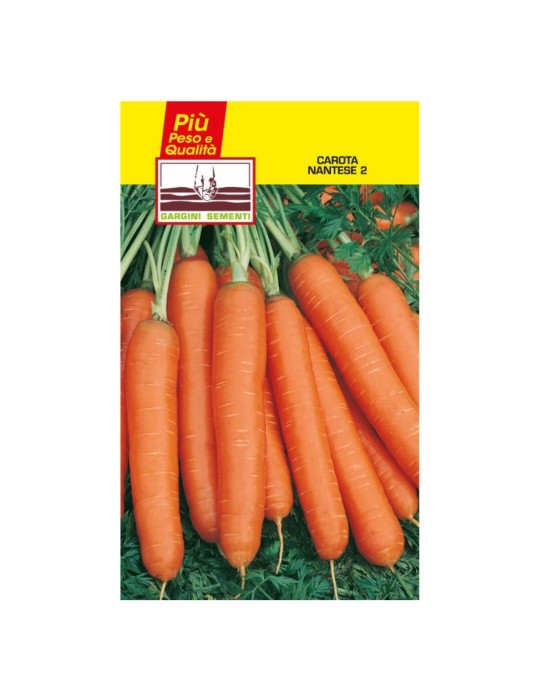 Bustina sementi carota nantese