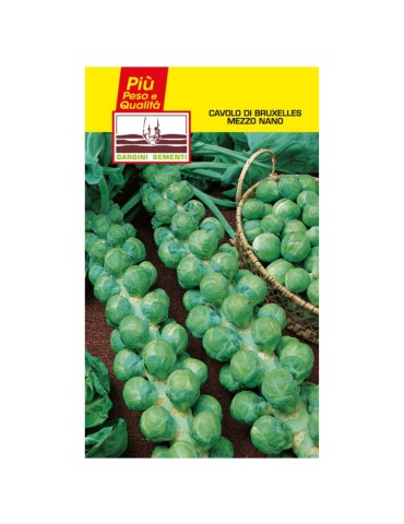 Brussels cabbage seed sachets half dwarf