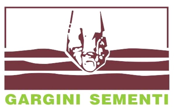 Gargini sementi